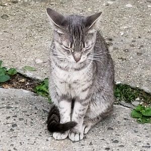 Meet your Posher, Autumn